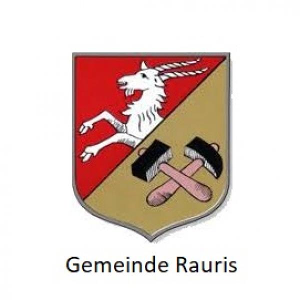 DASNETZ GEMEINDE RAURIS